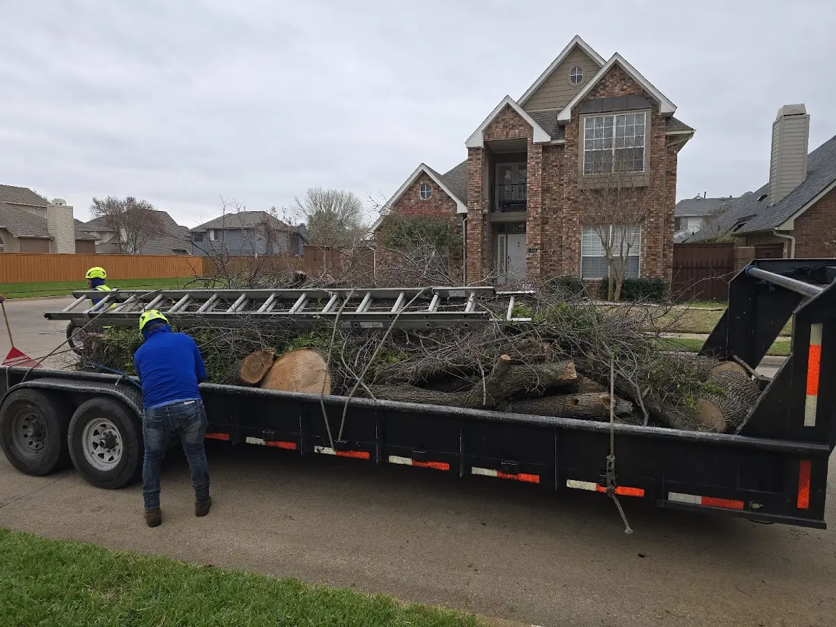 Expert Tree Pest Control with proper safety equipment in Saluda